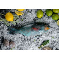 Рыба-попугай, Шри-Ланка