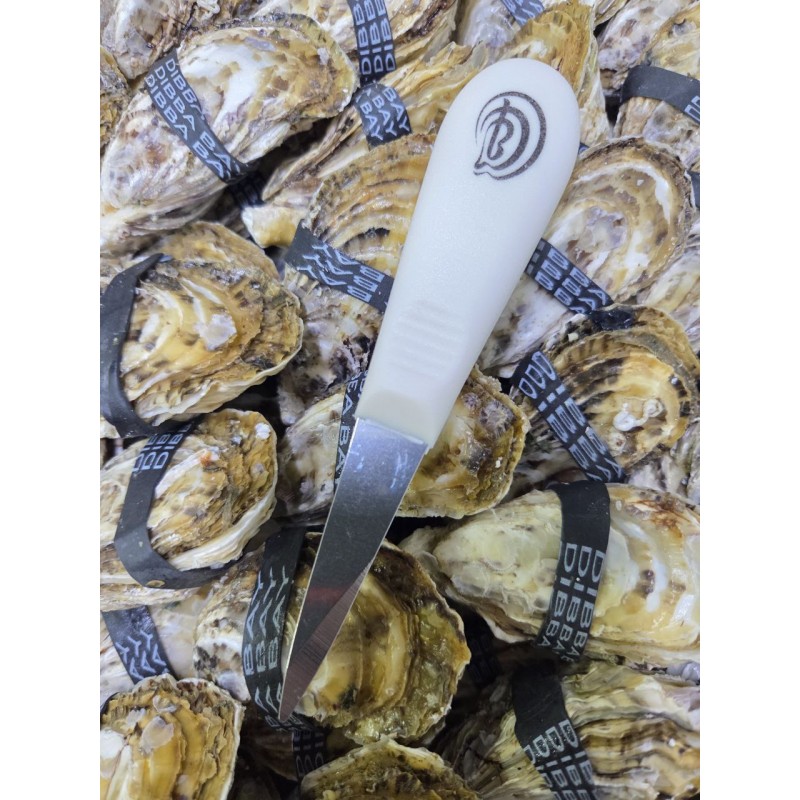 Фирменный устричный нож Дибба Бэй (Dibba Bay) с пластиковой ручкой