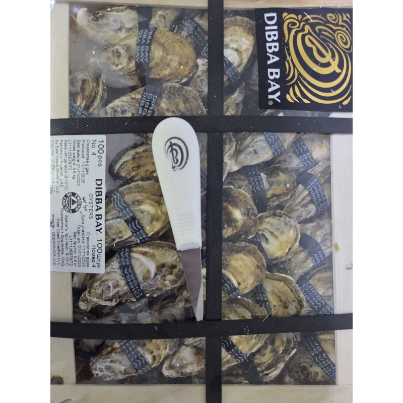 Фирменный устричный нож Дибба Бэй (Dibba Bay) с пластиковой ручкой